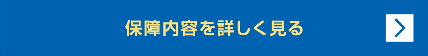 保障内容を詳しく見る